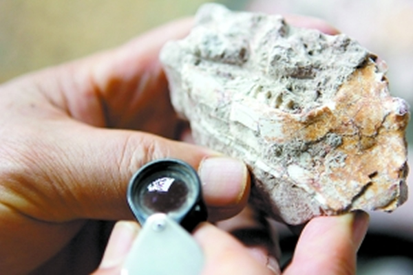 ��¶���������Ϊ�����Ĳ��鶯�����ݡ�