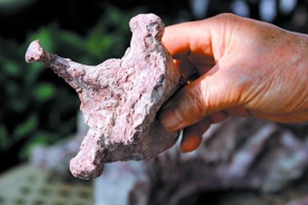 �·��ֵĲ��鶯�Ｙ׵�ǻ�ʯ��