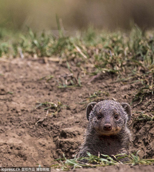 �ɹ�������٪�B