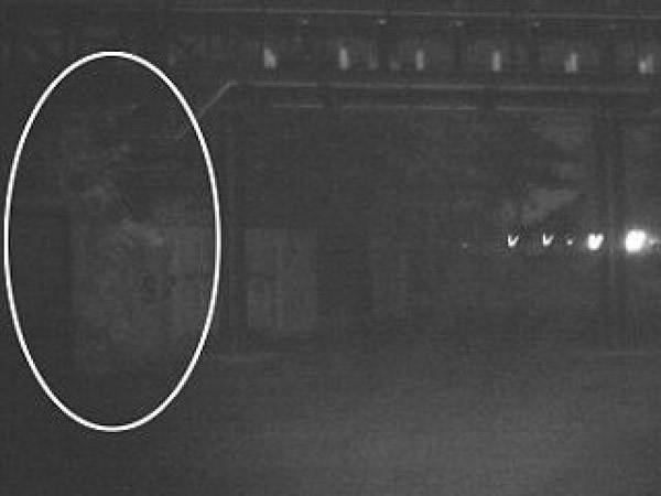 רThorpe ParkĵƬʾӰ͹İ