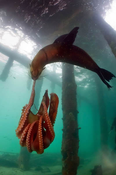 �Ĵ�����Ī���ٰ뵺������ʳ�����~