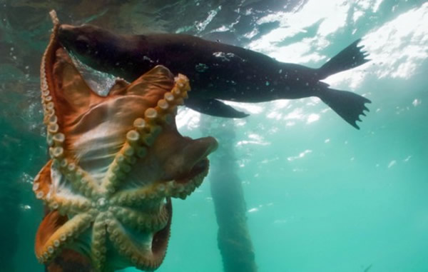 �Ĵ�����Ī���ٰ뵺������ʳ�����~