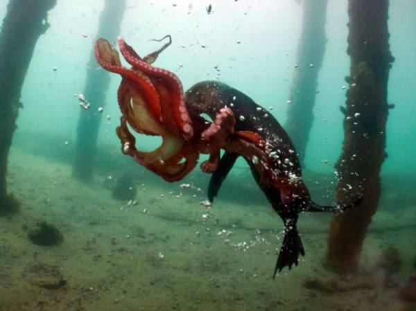 �Ĵ�����Ī���ٰ뵺������ʳ�����~