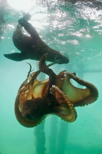 �Ĵ�����Ī���ٰ뵺������ʳ�����~