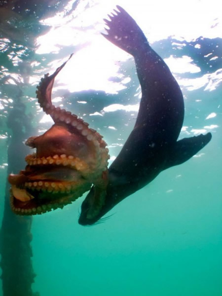 �Ĵ�����Ī���ٰ뵺������ʳ�����~