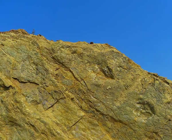 山东临沭发现的大量恐龙足迹群对研究白垩纪早期恐龙的演化、迁徙具有重大意义