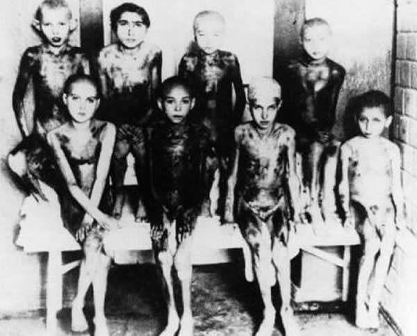 军医门格勒实验室里的「白老鼠」们