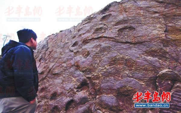 岩石上的恐龙足迹化石