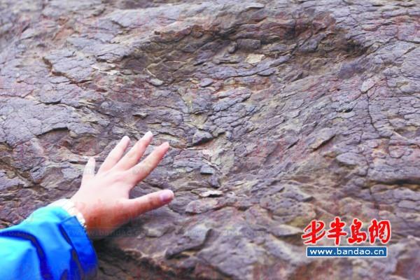 岩石上的恐龙足迹化石