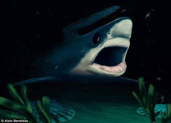 研究人员认为,最新发现的鲨鱼牙齿化石将有助于揭晓2.52亿年前史前鲨鱼如何幸存于物种大灭绝事件,当时地球80%物种灭绝消失。研究显示史前鲨鱼的牙齿较小,具有独特