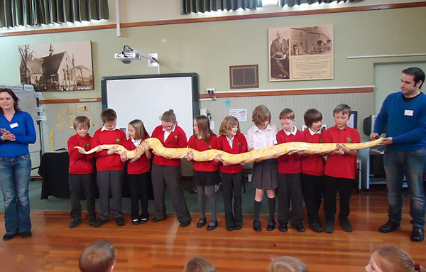 Ӣ�����ж���ר�Ҵ�����Ѳ���Ż�ѧ������ͣ