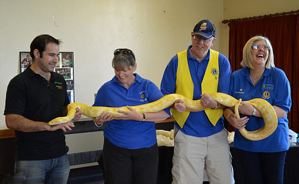 Ӣ�����ж���ר�Ҵ�����Ѳ���Ż�ѧ������ͣ