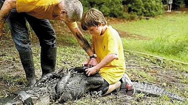 青少年也参与到捕鳄活动中