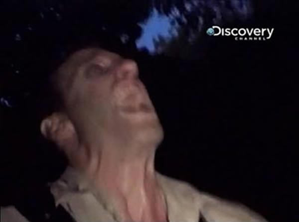 荒野求生节目“怪兽档案”系列中“澳洲魔龙”的主角被不明生物拖入森林?