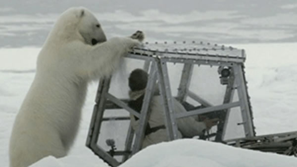 �����������ڽ�Ŀ�н����ͱ����������ľ���