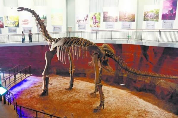 汝阳黄河巨龙化石模型