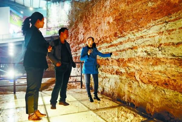 原址保护恐龙化石地质层