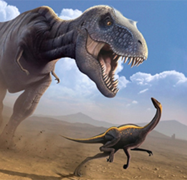 即使成年的霸王龙和其他恐龙,它们也可能从未停止生长,如果没有长到它们应有的长度,它们的骨骼质量会不断增长。