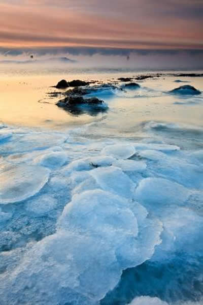 �����о���ʾ����������ʼ�ڱ�