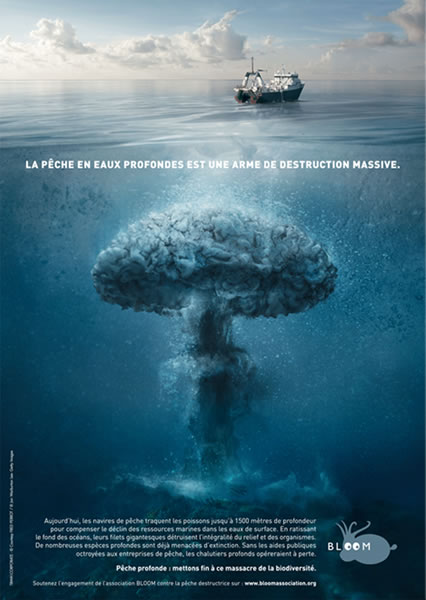 欧洲取缔拖网捕鱼夙愿夭折