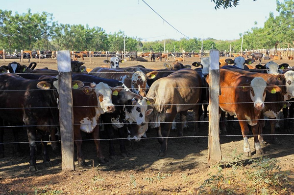 ͳũҵڻӰ̶ȣũǿִиĸƻһ£صעɭָǡˮʧԤֵ⡣