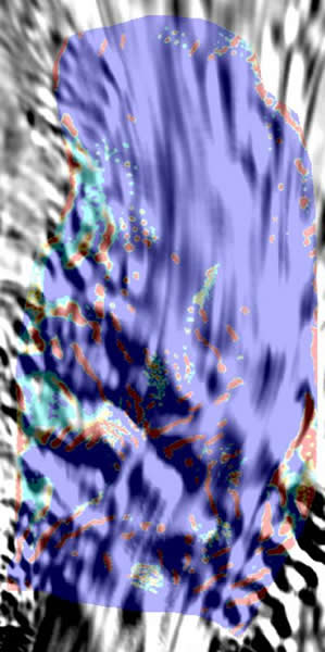 南极松岛冰川的MODIS马赛克(MOA)。
