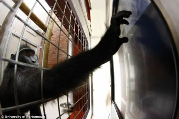 �о���Ա���֣����ô��������Ը��ڹ�⨺��ṩ��֪��ս���Ѿ��������Ⱥ���ӵ��������������������ǵ�ѹ����ͬʱ����������֮����Ѻ���Ϊ