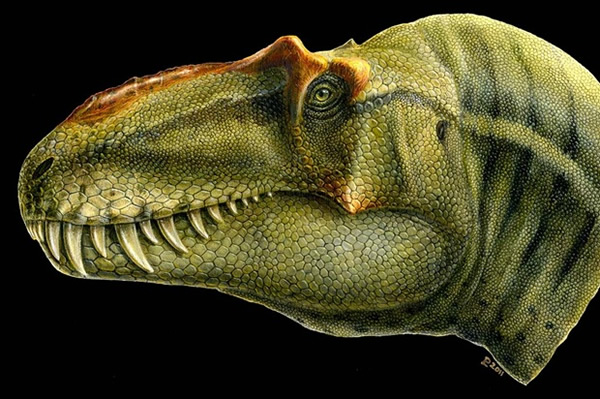 美国犹他州发现霸王龙新种类