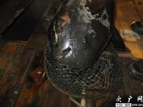 ��ͥ��������¹��ˮ����һͷ�������Խ���