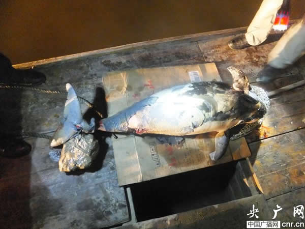 ��ͥ��������¹��ˮ����һͷ�������Խ���