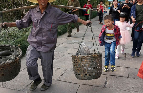 西溪湿地洪园干塘节热闹开锣。