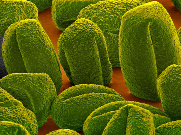 �Ի�ʯ�������ӵķ��������˳���150�����ظɺ��ڵ�֤��