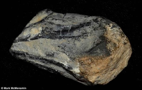 2011оԱֺ壬ЩǱǳ֮Ϊ״ŲֵľгɷǱѰͼЩ糱ˮǣͬоԱֵ»