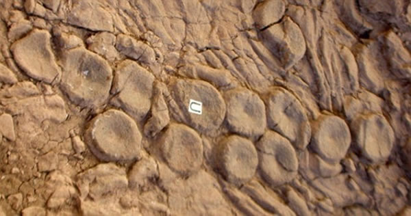 зʽ֤Ųȷʵڡ-÷ŮѧԺĹѧڡ÷ڻݰ