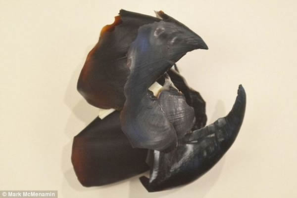 ÷ƣŲ֣ܳ30ףڵ֤ݣͨͺжϵ˺۵óģŲֲֶҧǵĲӡ