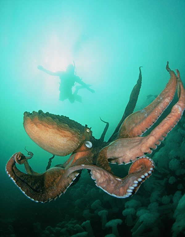 ڵͷදʹģҲٱ̫ƽһشԼ15068.04÷˵֮ûκŲ