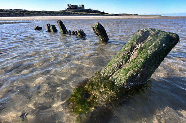 Ӣ��һ�ű���������һ�����صİ���ǰ����