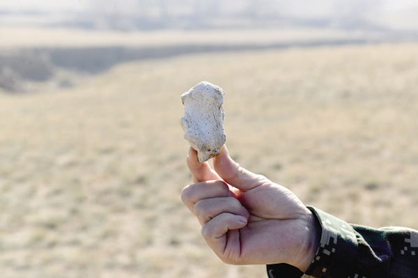 从盗掘的古墓中找到的元代人骨