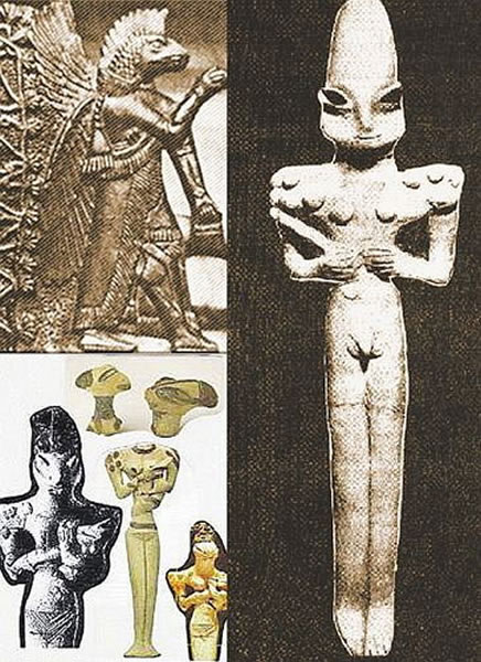 �Ŵ��ܶ����嶼�й��ڳ��������Դ����������