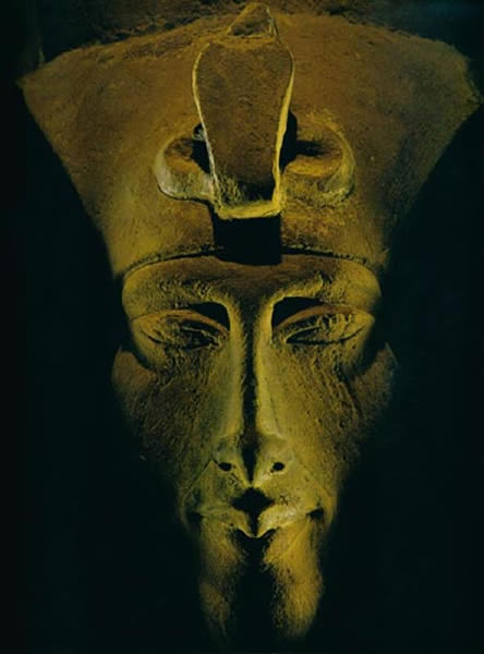 ���ƻ��������Ƿ������������鵼�£�