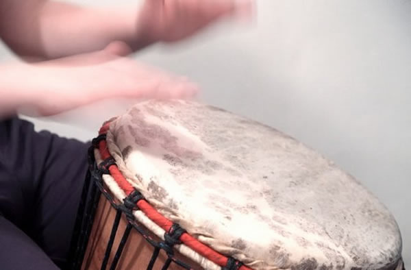 灵长目动物的音乐技能进化于3000万年前