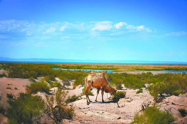 ����ľ�����Ե��������̽΢