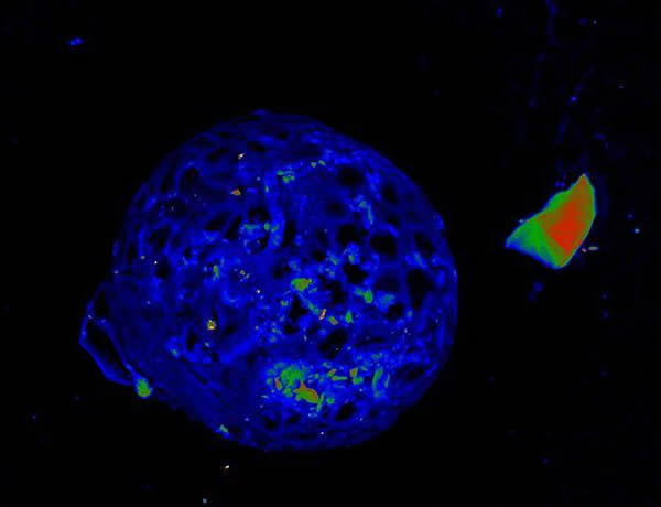 这幅艺术家概念图描绘了2009年美国宇航局斯皮策太空望远镜观测到行星撞击产生的残骸,这让人不禁联想到创造月球的一次相似灾难性撞击事件。