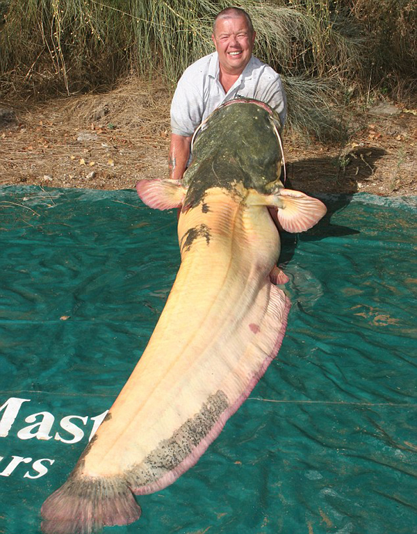 Ӣ���������������������޺Ӳ����������׻�����