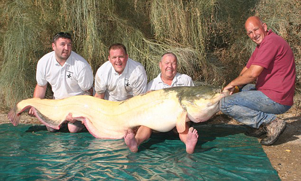 Ӣ���������������������޺Ӳ����������׻�����