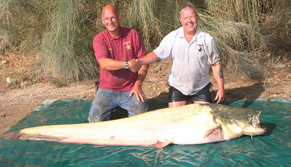 Ӣ���������������������޺Ӳ����������׻�����