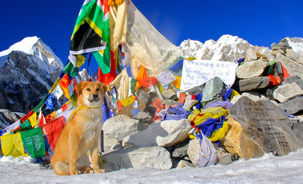 ӡ�����˹��������˵����