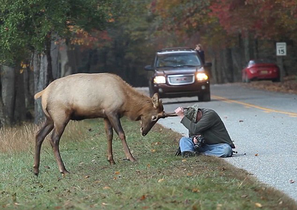 ��������ɽ���ҹ�԰��Ӱʦ����ֳ�ڵ���¹����