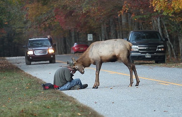 ��������ɽ���ҹ�԰��Ӱʦ����ֳ�ڵ���¹����