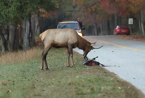 ��������ɽ���ҹ�԰��Ӱʦ����ֳ�ڵ���¹����